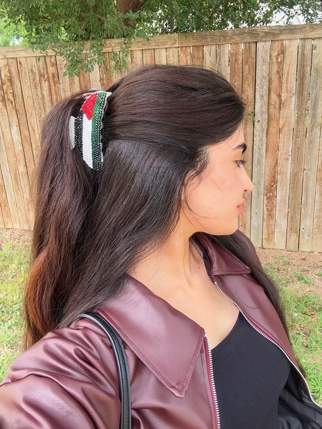 Palestine Flag Claw Clip